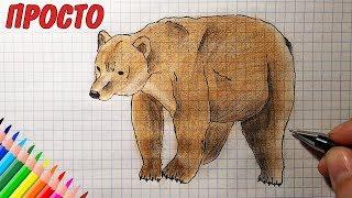 Как нарисовать МЕДВЕДЯ /1080р/How to draw a BEAR