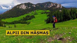 Munții Hășmaș - Două zile de drumeție cu dormit la cort la cabana Piatra Singuratică (Ep. 38)