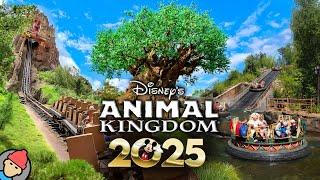 Disney's Animal Kingdom RIDES & ATTRACTIONS 2025 | Walt Disney World