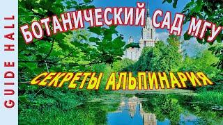 АЛЬПИНАРИЙ, БОТАНИЧЕСКИЙ САД МГУ - закрытая территория, секреты тропы, горка и пруд, идеи для дачи!