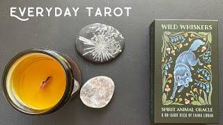 Everyday Tarot: Wild Whiskers Oracle