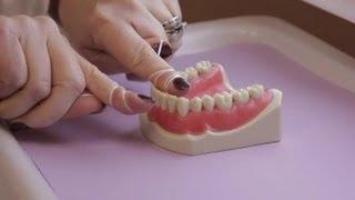 The Proper Way & the Wrong Way to Floss Teeth : Caring for Your Teeth