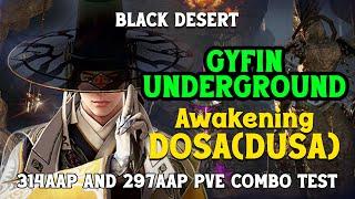 BDO Dosa Awakening Gyfin Under 314 aap and 297 aap PVE Combo Test