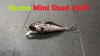 Видеообзор любимчика окуней Itumo Mini Shad 45SP по заказу Fmagazin