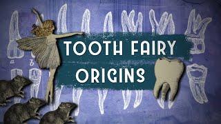 Where Did The Legend Of The Tooth Fairy Come From