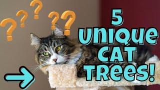 5 Unique Cat Trees Found on Chewy #shorts