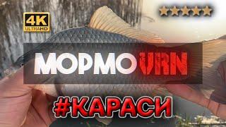 #210 #мормышинг #карась| Как поймать карася на спиннинг | Карась на силикон | Вечерняя рыбалка |