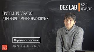 Группы препаратов для уничтожения насекомых.  В чем особенности?