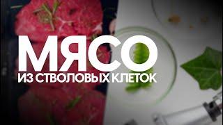 Йосеф Херсонский, Рейна Хлоповская: мясо из стволовых клеток