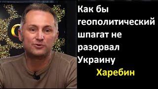 Как бы геополитический шпагат не разорвал Украину. Александр Харебин