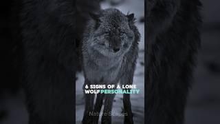 Six Signs of a Lone Wolf Personality: Are You One?