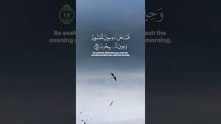 So exalted is Allāh when you reach the evening and when you reach the morning. #quran #islam