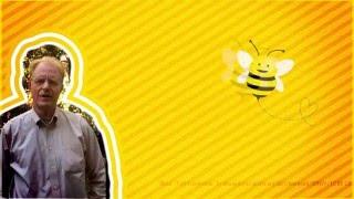 Yes to Pollinator Protection in Maryland!
