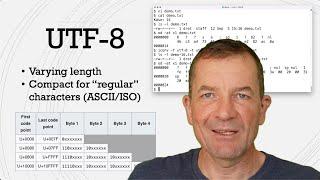 What are UTF-8 and UTF-16? Working with Unicode encodings