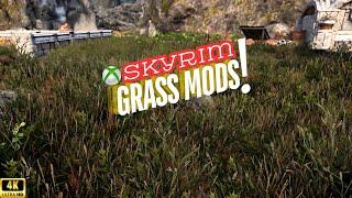 Skyrim | Top 5 Performance-Friendly Grass Mods Compared (2024)