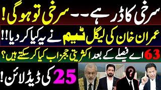 What Majority Judges May Do After 63 A Decision? Details by Essa Naqvi