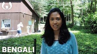 WIKITONGUES: Ankita speaking Bengali