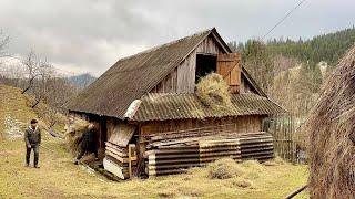 Simple rural family life in the Carpathians mountain ️