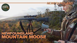 Rugged Mountain Moose Hunt Adventure in Newfoundland | Canada in the Rough