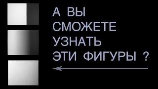 Свет, тень и тон в рисунке: как они связаны между собой?