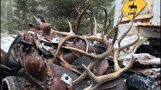 A Week in the Wilderness - Elk hunting | S4E08 | Limitless Outdoors