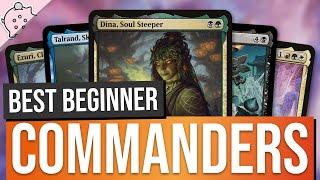 Best Beginner Budget Commanders for The Most Popular Strategies | Magic the Gathering