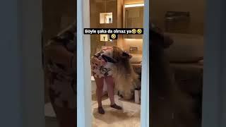 Hair Dryer Prank 