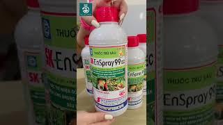 SK ENSPRAY 99EC – DẦU KHOÁNG DIỆT TRỪ CÔN TRÙNG GÂY HẠI - Hotline: 0776.400.038