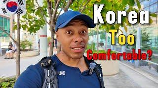 American Expat Explorer Explains Why Being Comfortable in Korea is Dangerous!