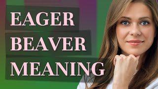 Eager beaver | meaning of Eager beaver
