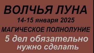 Полнолуние в январе 2025. Что делать нельзя. Волчья Луна.