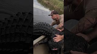GATORS CAN EAT YOU!! #newsflash #gatorseason #alligator #hunting #hunt #crocodile #fishing
