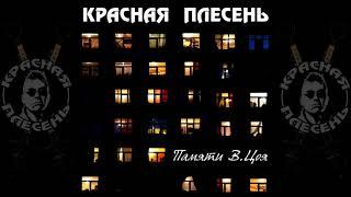 КРАСНАЯ ПЛЕСЕНЬ - ПАМЯТИ В.ЦОЯ | ПОЛНЫЙ АЛЬБОМ | 2021