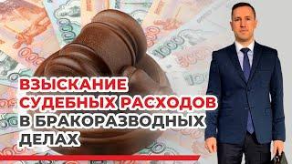 Взыскание судебных расходов (издержек) в семейных спорах, примеры из практики опытного юриста