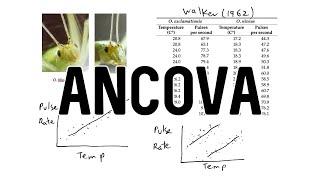 Analysis of Covariance (ANCOVA) + R Demo