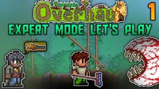 Is This Reality? Terraria Overhaul Mod Let's Play - Episode 1