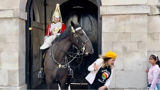 Tourist Silly Mistakes Unsettle Horse: Watch the Chaos Unfold!