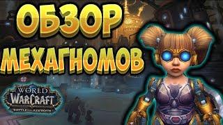 Полный обзор новой союзной расы - Мехагномы  [WoW BfA 8.3]