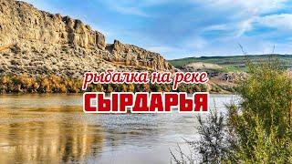 Рыбалка на Сырдарье на шемайку #шемайка #шемая #рыбалка #сырдарья #рыбалка в Узбекистане