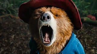 Paddington 3: Paddington in Peru Clip - “This Whole Thing is Really BEARY" (2025)