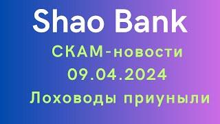 SHAO BANK - СКАМ-новости 09.04.2024г. Лоховоды Шао банка приуныли