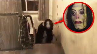 Scary Videos That Will Make Your Tummy Ache