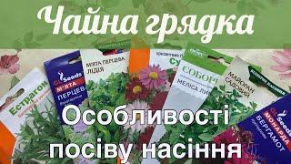 Особливості посіву м'яти, меліси, естрагону, майорану, монарди.