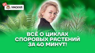 Всё о циклах споровых растений за 40 минут | Биология ОГЭ 2022 | Умскул