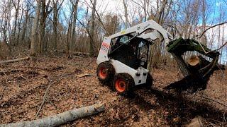 Logging firewood using tractor MTZ 80 & skidsteer BOBCAT 853