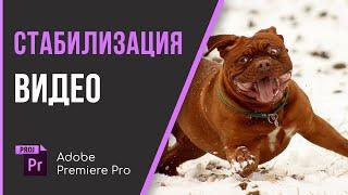 Как быстро стабилизировать видео в Adobe Premiere Pro? Как убрать тряску на видео в премьере?