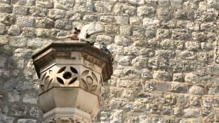 4 Mevsim Balkanlar - Hırvatistan / Dubrovnik - Split - Türk Hava Yolları