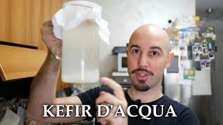 Kefir di acqua