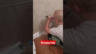Вскрытие покажет) #shorts