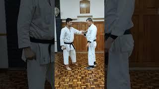 Application for opening sequence of Pinan / Heian Sandan #karate #bunkai #kata #karatejutsu